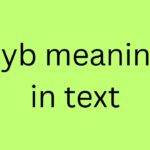 hyb meaning in text
