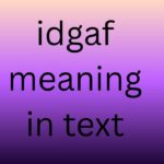 idgaf meaning in text