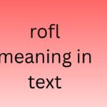 rofl meaning in text