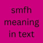 smfh meaning in text