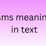 sms meaning in text