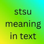 stsu meaning in text