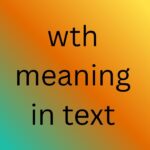 wth meaning in text