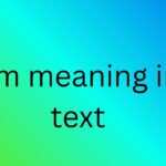 dm meaning in text