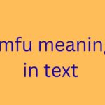 gmfu meaning in text