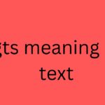 gts meaning in text