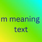 idm meaning in text