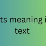 idts meaning in text