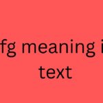 lfg meaning in text