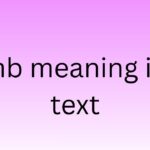 mb meaning in text