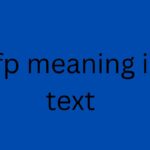 pfp meaning in text