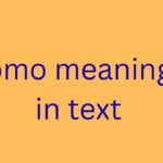 pmo meaning in text