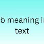sb meaning in text