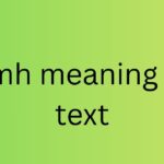 smh meaning in text
