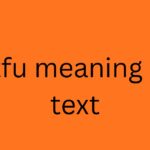 stfu meaning in text