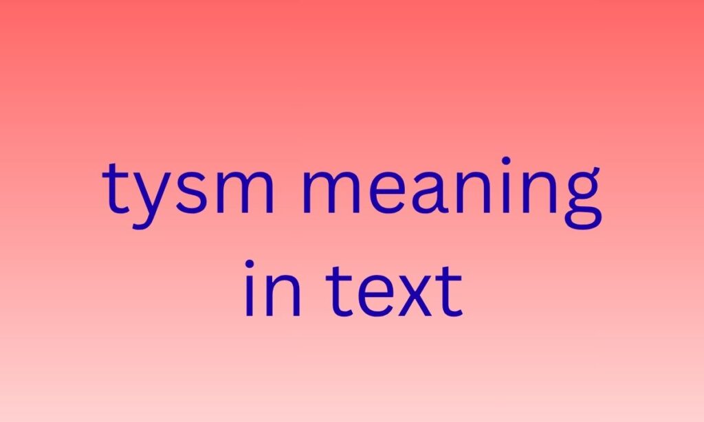 tysm meaning in text