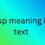 wsp meaning in text