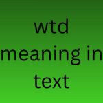 wtd meaning in text