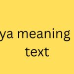 wya meaning in text