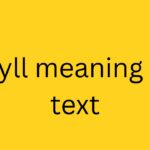wyll meaning in text