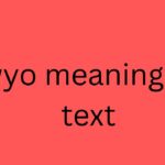 wyo meaning in text