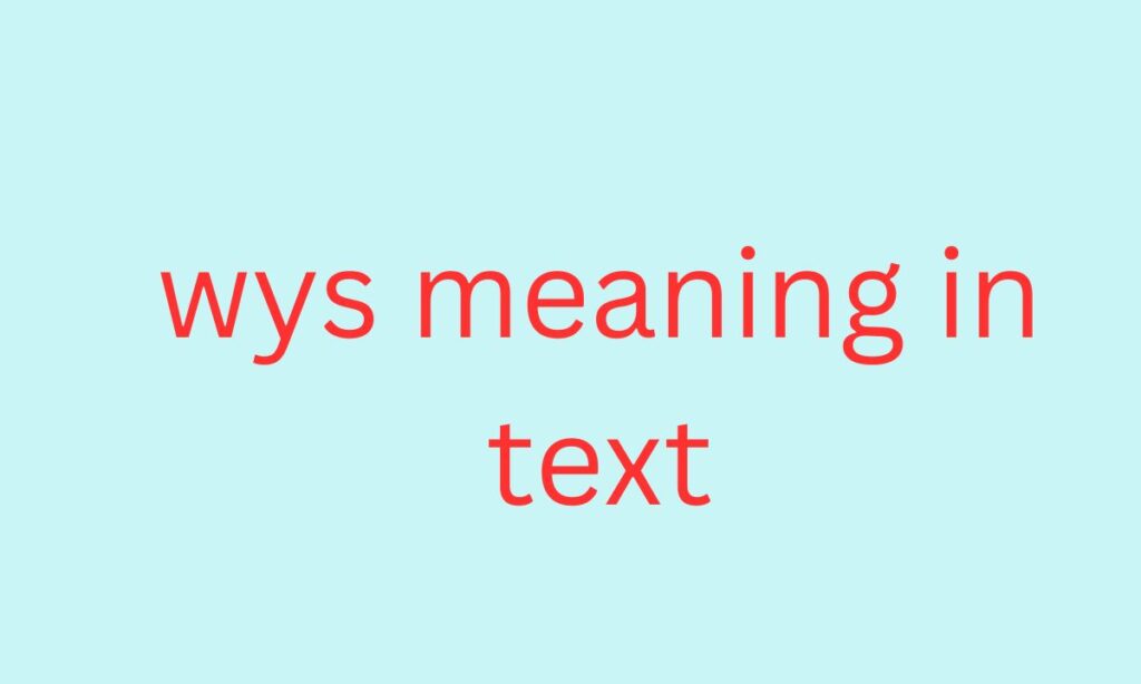 wys meaning in text